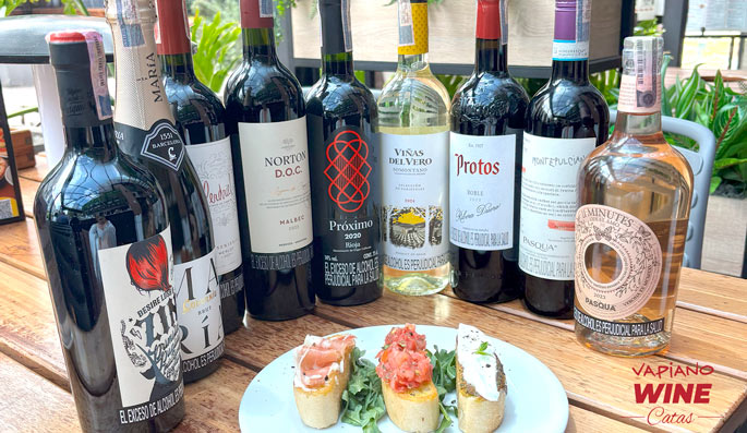 🍷✨ VapiWine: una vuelta al mundo en tres copas